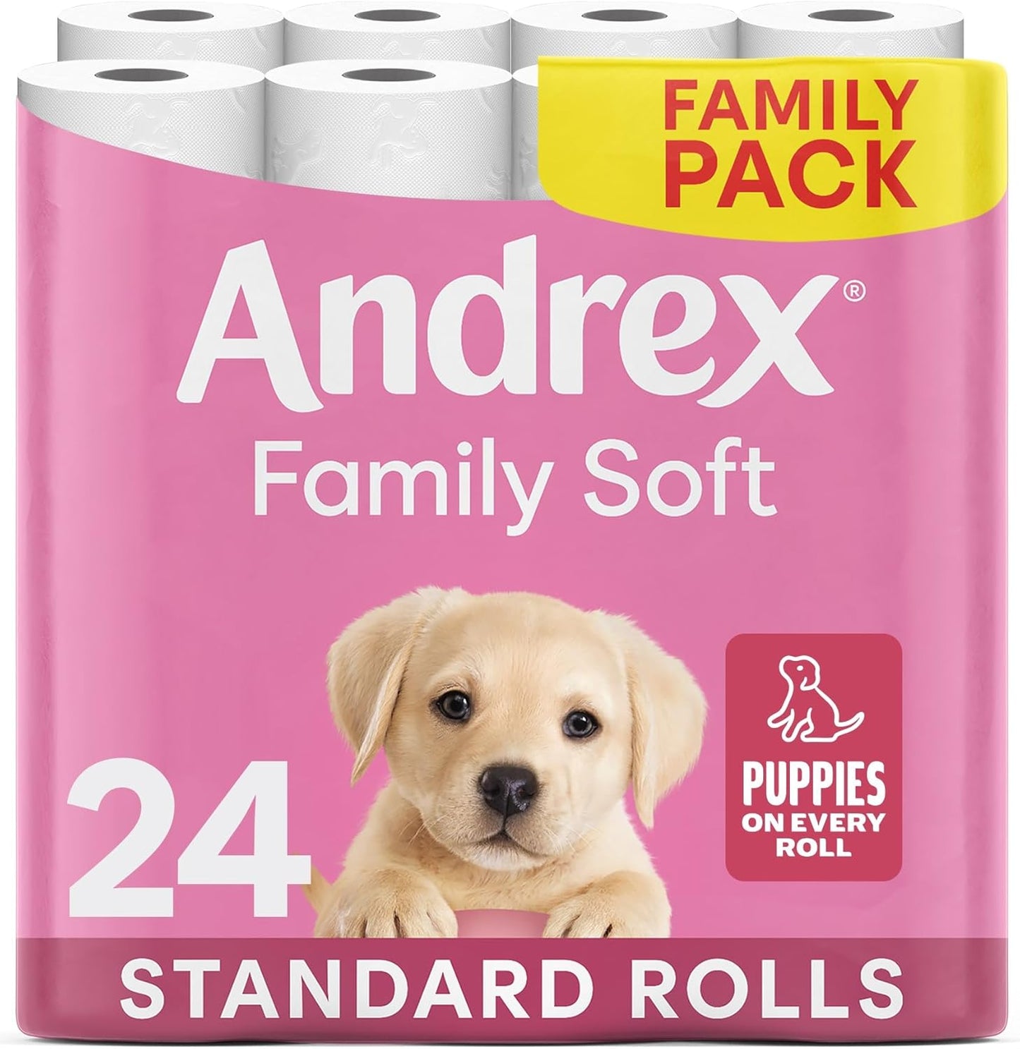 Andrex Family Soft Toilet Tissue 24 Pack – Ultra Soft & Gentle Toilet Paper – 170 Sheets Per Roll – FSC Certified for Responsible Sourcing